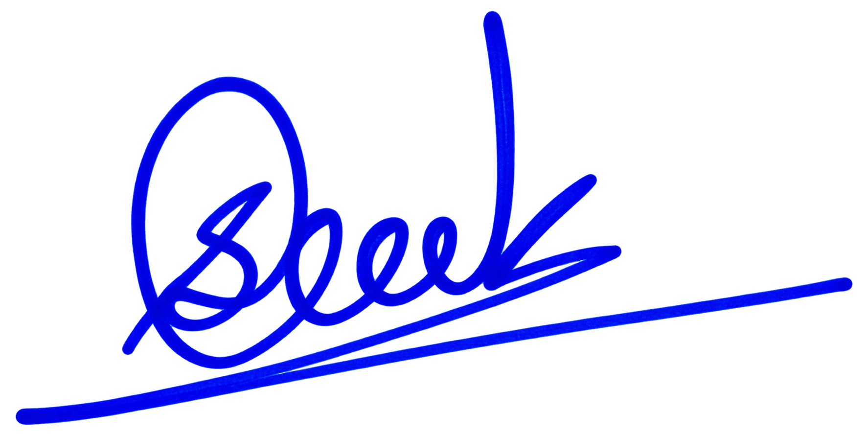 Sulav Bhoumik signature